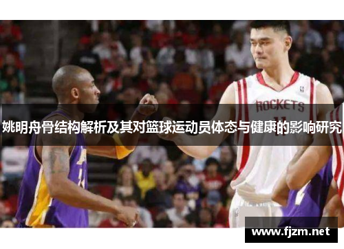 姚明舟骨结构解析及其对篮球运动员体态与健康的影响研究