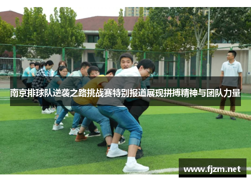 南京排球队逆袭之路挑战赛特别报道展现拼搏精神与团队力量