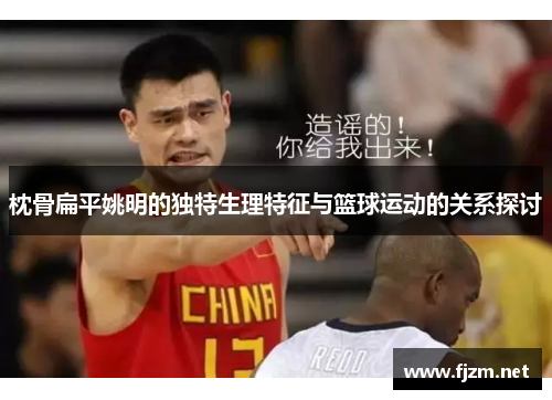 枕骨扁平姚明的独特生理特征与篮球运动的关系探讨